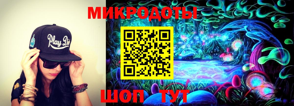 Псилоцибиновые грибы Psilocybe Менделеевск